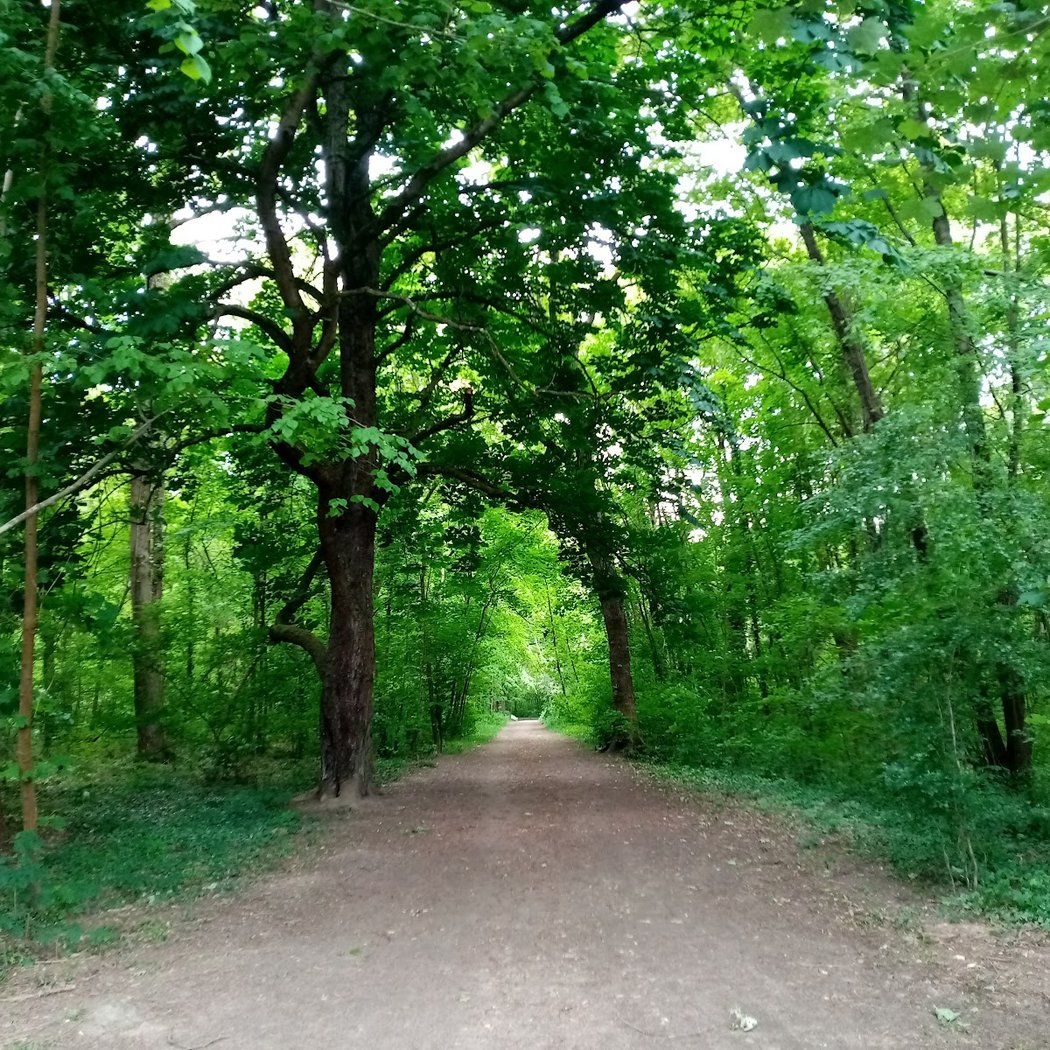 Parc de Livry 1